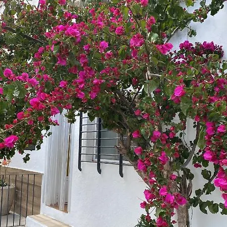 Masia La Molinera